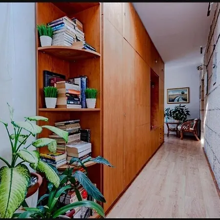 Touch Apartment Korčula